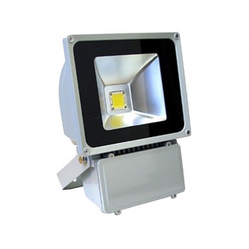 LED прожектор LFL 60W 220V